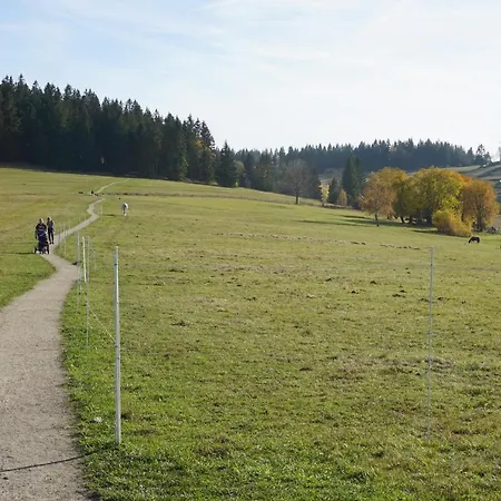 šalet Hrabětice Apartmán *