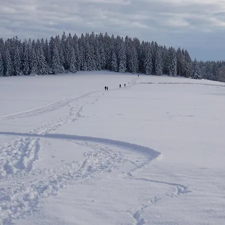 šalet Hrabětice Apartmán Janov nad Nisou