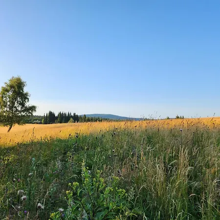 Salet Hrabetice *