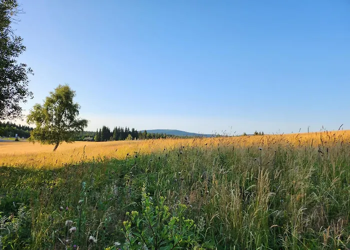 Salet Hrabetice *